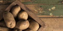 5 أسباب تجعل البطاطا صحية للغاية