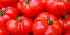 الطماطم: السعرات الحرارية، الفيتامينات والمعادن