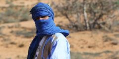 الأمازيغ: التاريخ، الثقافة واللغة